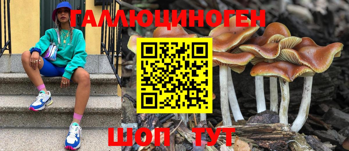 Псилоцибиновые грибы Magic Shrooms  Вход с VPN  Острогожск 