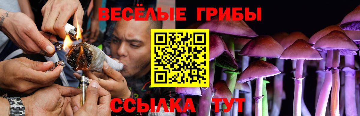 Псилоцибиновые грибы MAGIC MUSHROOMS Острогожск